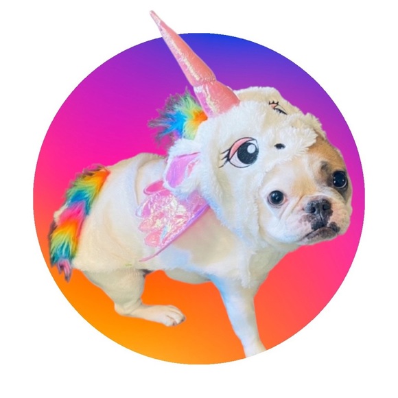 𝗡𝗘𝗪 Unicorn Pet Costume - Picture 1 of 6